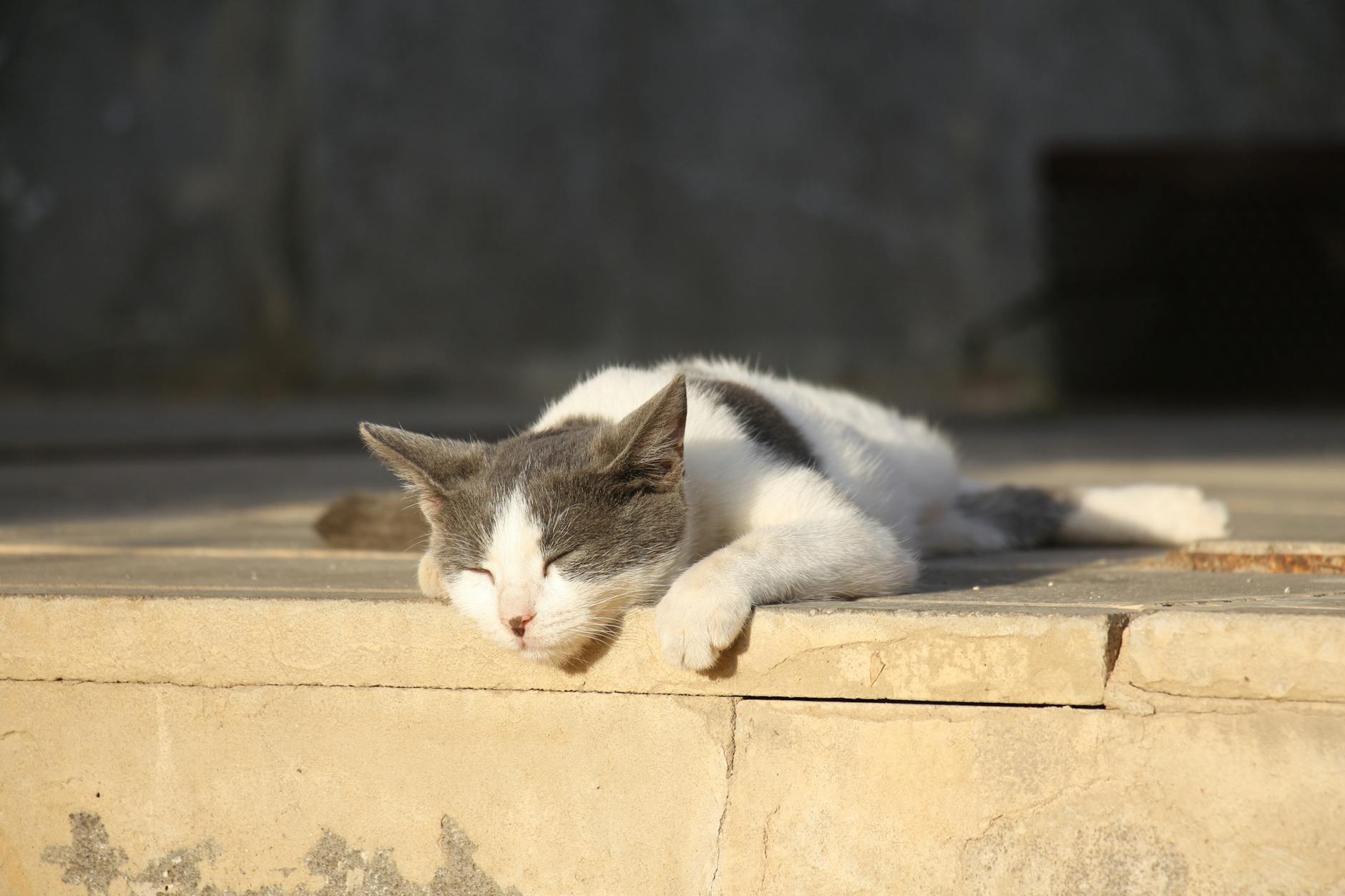 Gaziantep