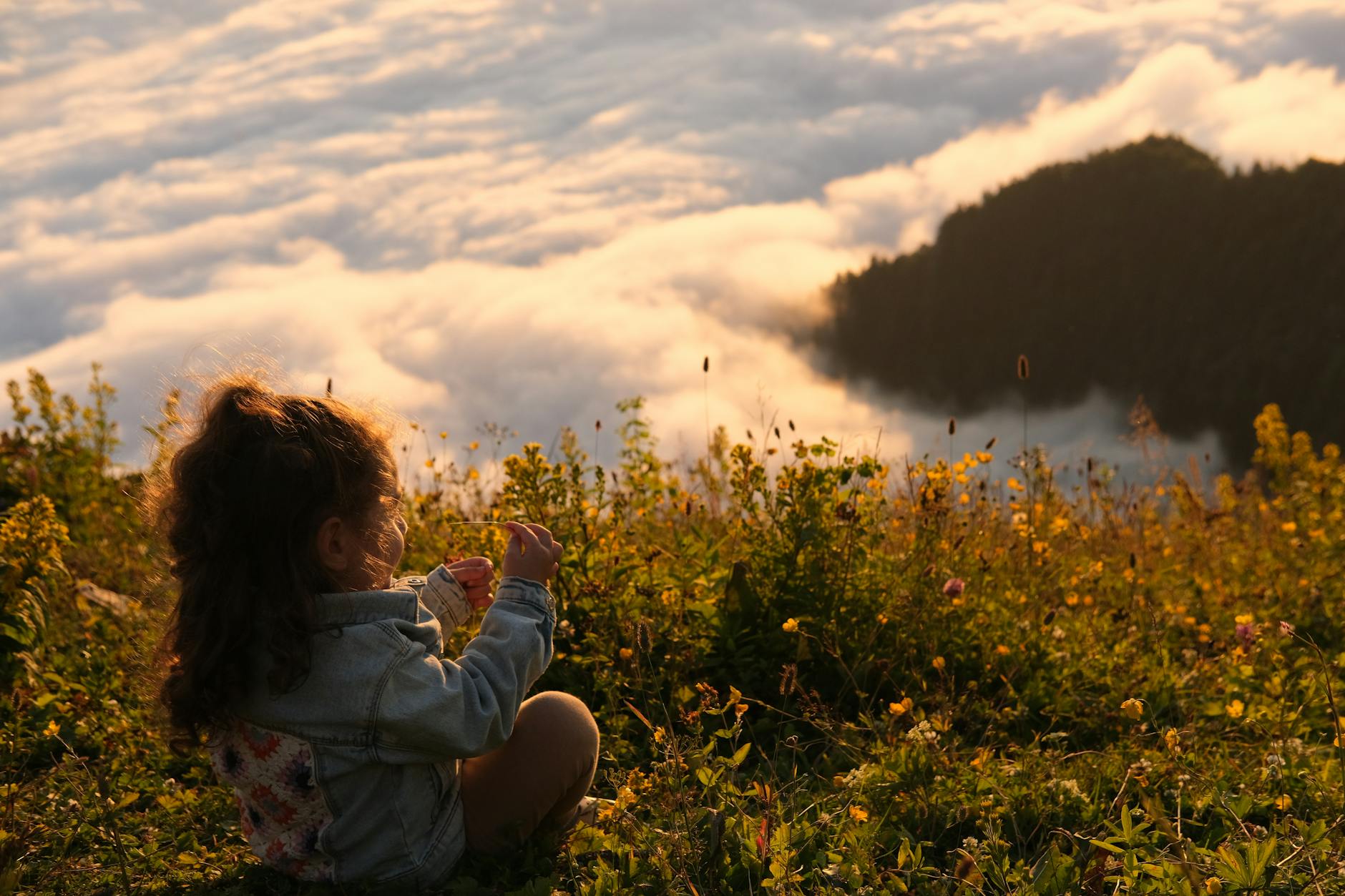 Rize