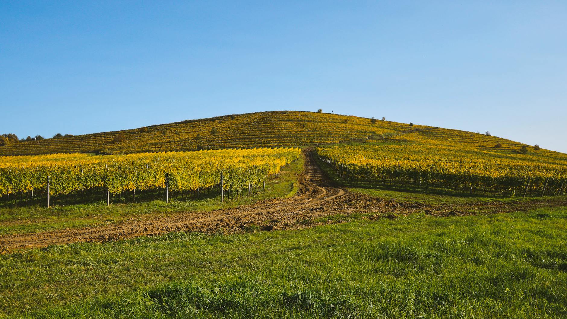 Tekirdağ'da Ailece Doğa Kaçamağı! 🌳👨‍👩‍👧‍👦