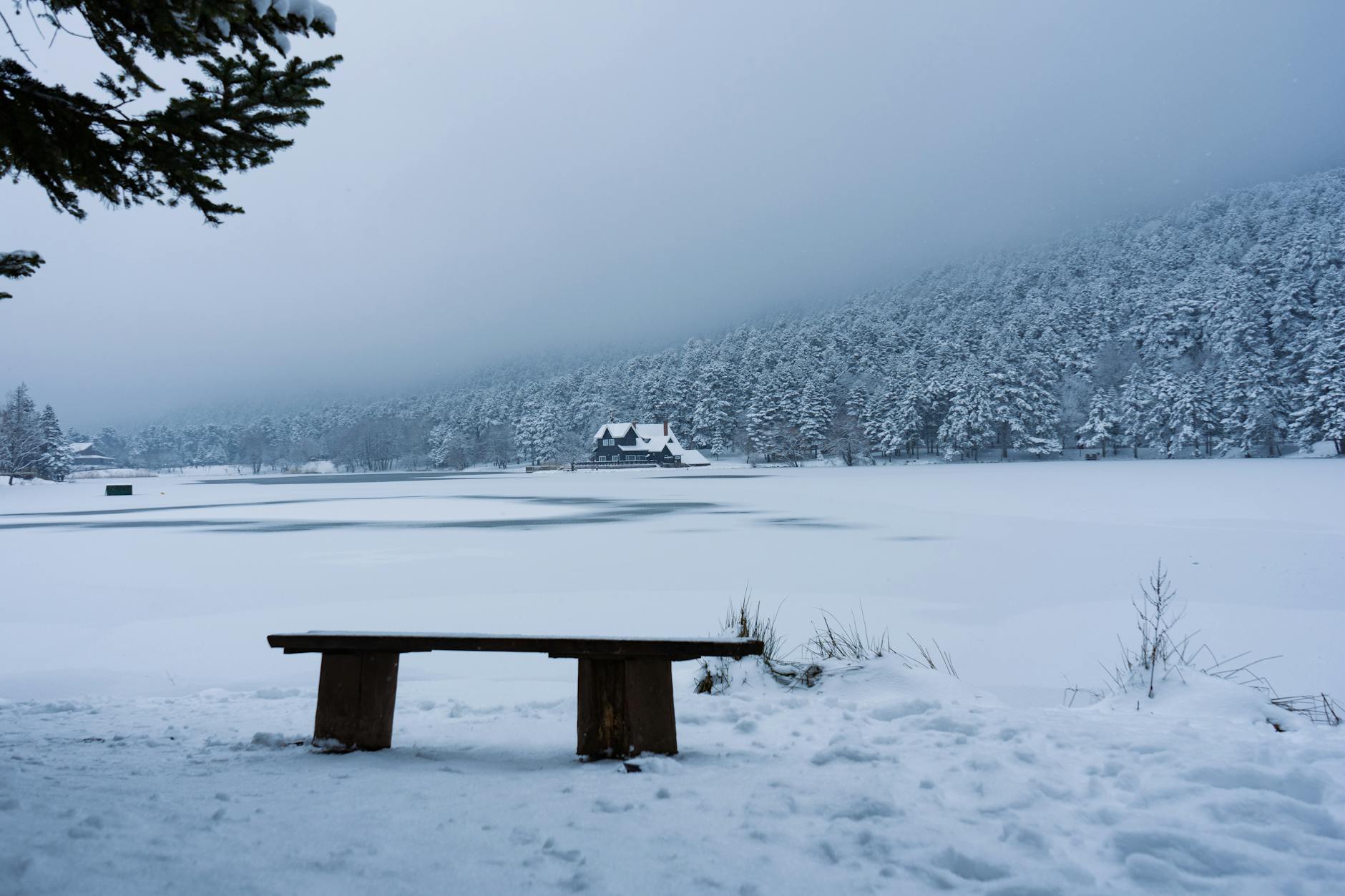 Bolu'da Romantik Kaçış: Doğa ve Eğlence Dolu Bir Gün 💑🌳