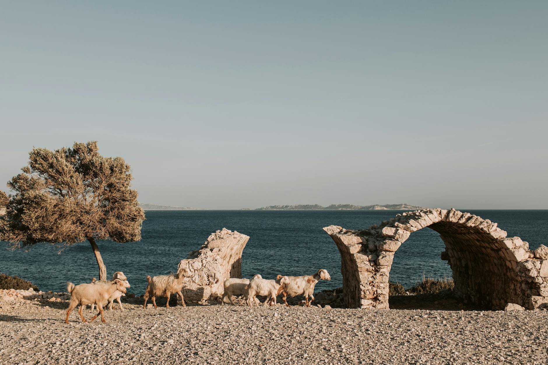 Antalya'da Yaz Rüyası: Akdeniz'in Kalbinde Eğlence Dolu Bir Hafta! ☀️
