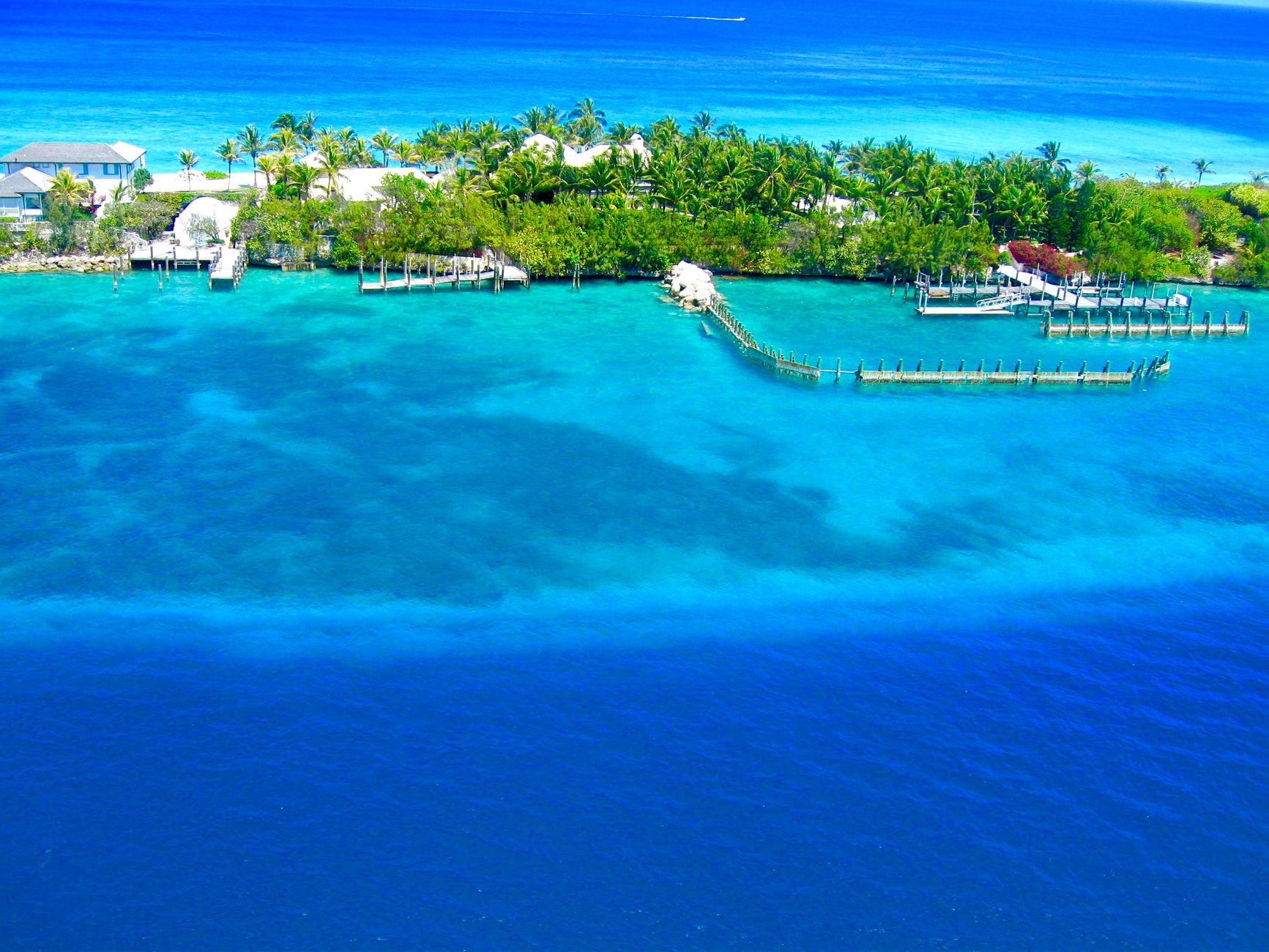 Bahamalar'da Aşk ve Macera Dolu 2 Hafta! 🏝️💖