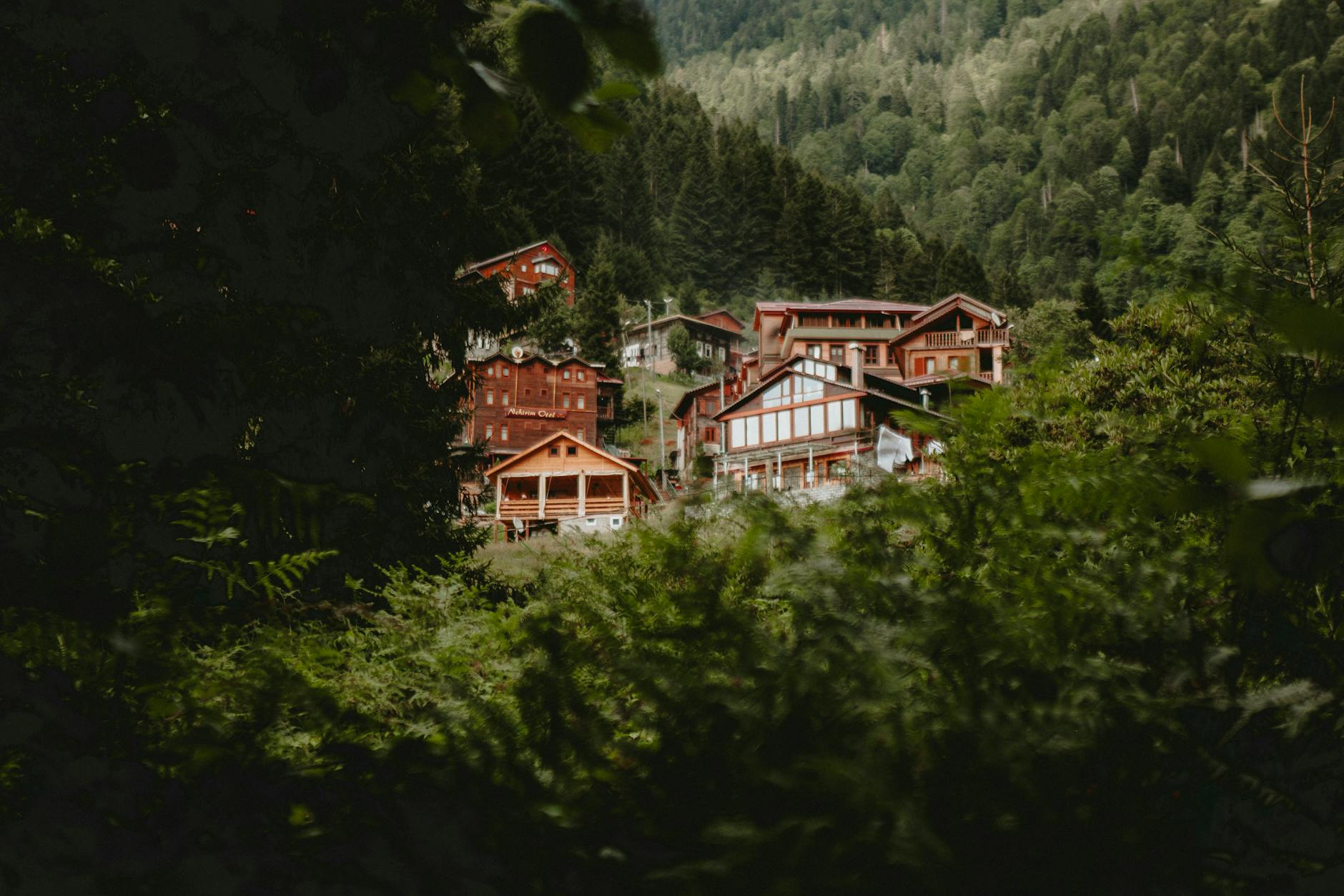 Rize'nin Yeşil Kalbine Yolculuk: Arkadaşlarla Doğa Keşfi 🏞️