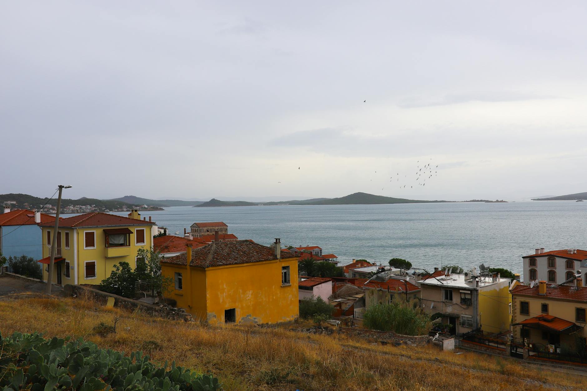 Ayvalık'ta Aşk Dolu Bir Gün 💖