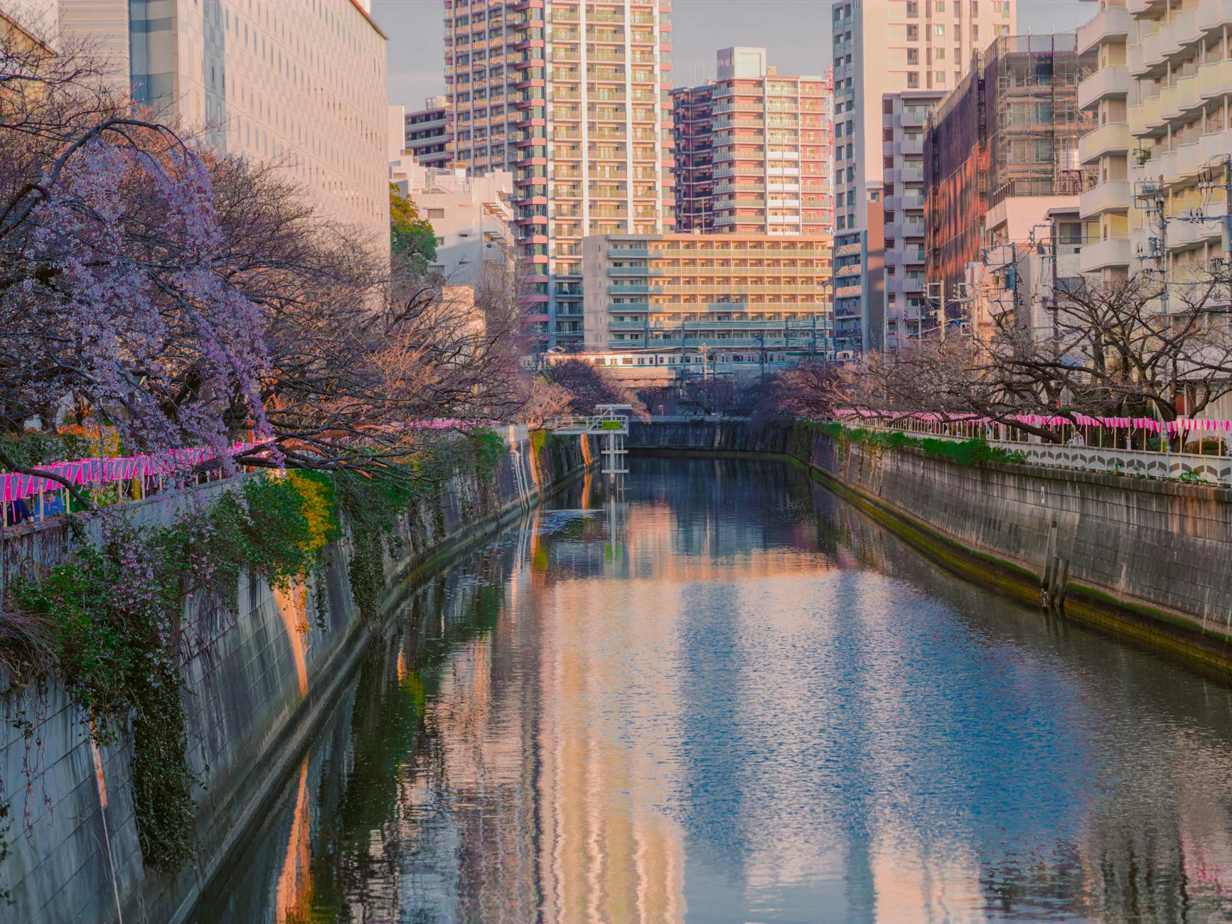 Tokyo Aşkı: Gelenekselden Modern'e Romantik Bir Yolculuk 🌸