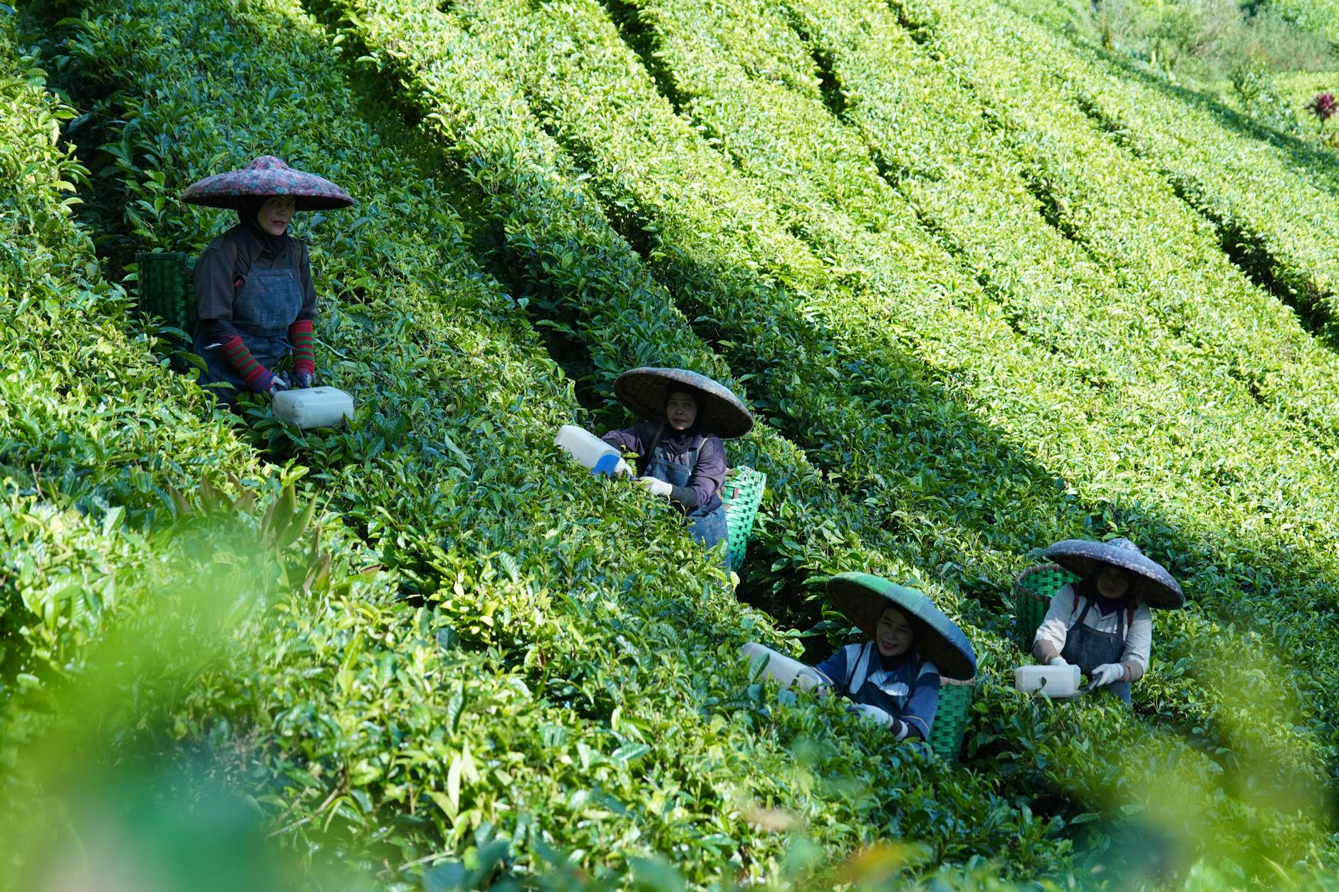 Hazar'ın İncisi Astara'da Kültürel Keşif 🇦🇿✨